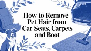 How to Remove Pet Hair from Car Seats, Carpets and Boot?