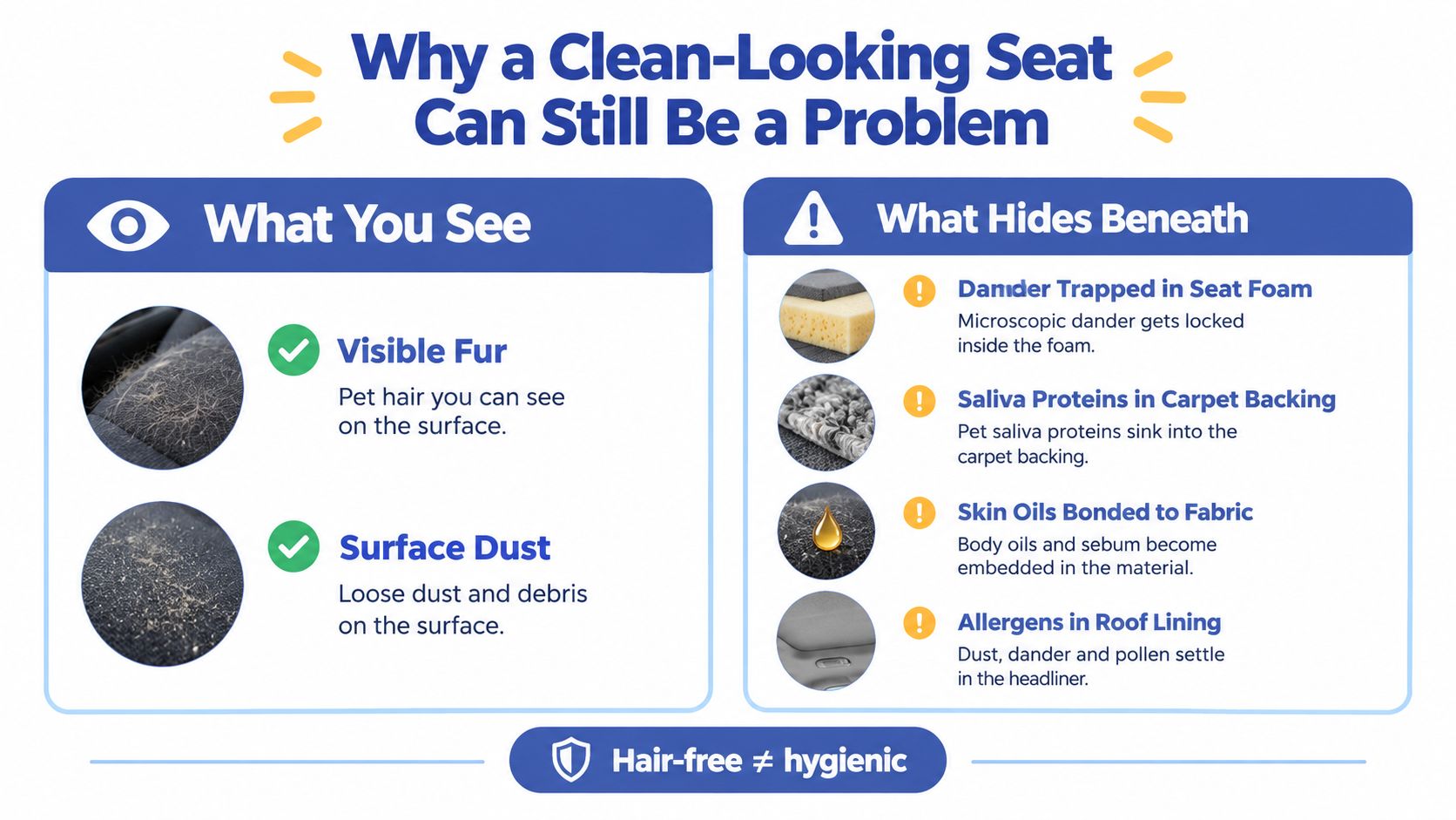 An infographic illustrating that a clean-looking car seat can still harbor hidden allergens like dander and oils.