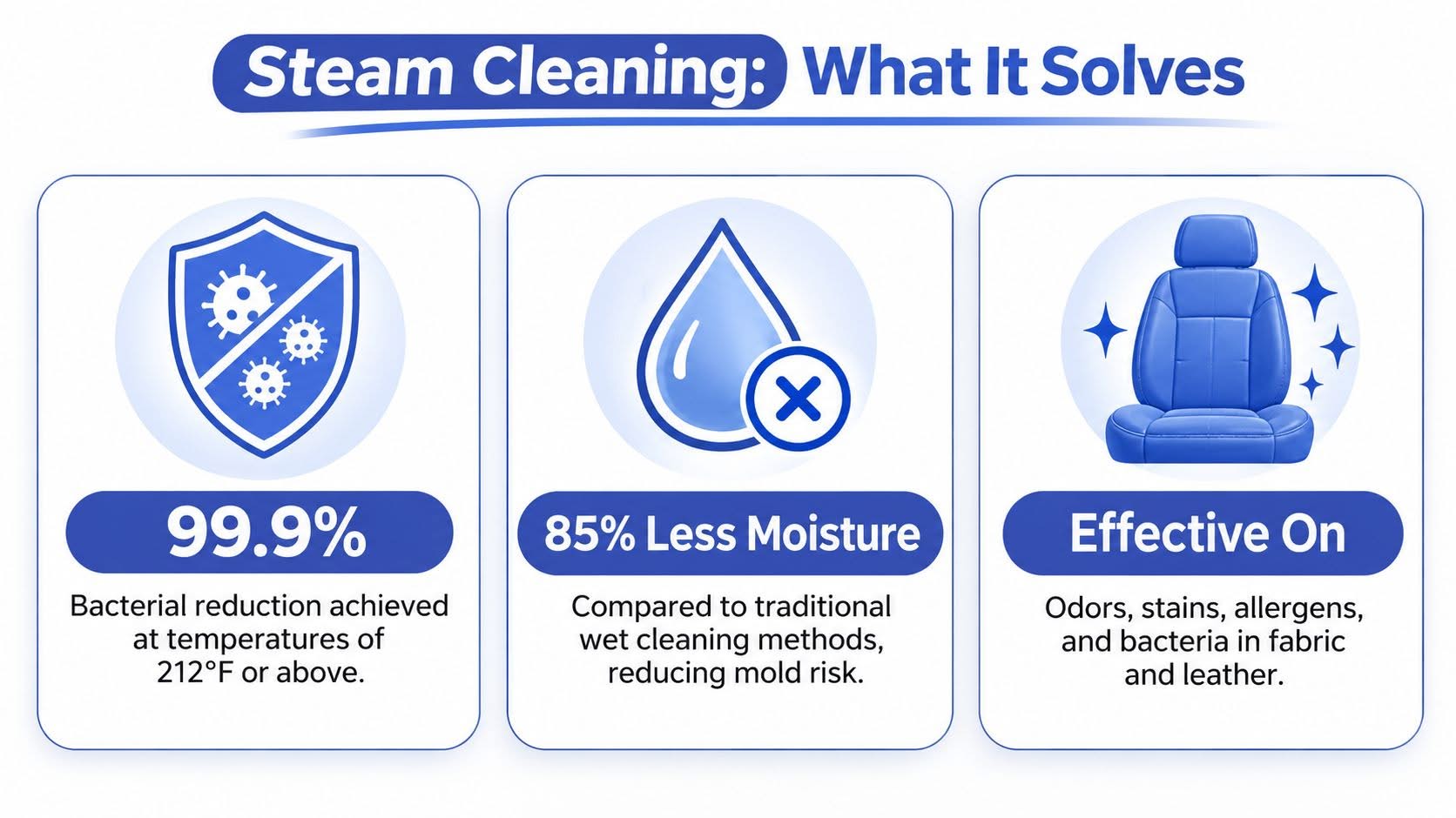 An infographic titled Steam Cleaning What It Solves showcasing benefits like bacterial reduction, moisture control, and versatility.